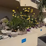 Riviera